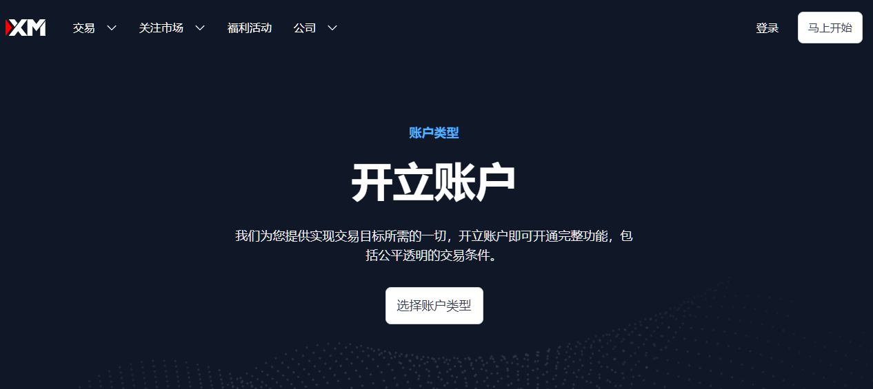 XM账户类型详解（2026）：哪种XM账户最适合新手交易者？